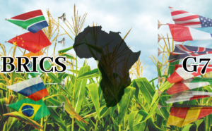 Comparing Africa’s Agricultural Trade Alliances: BRICS vs. G7